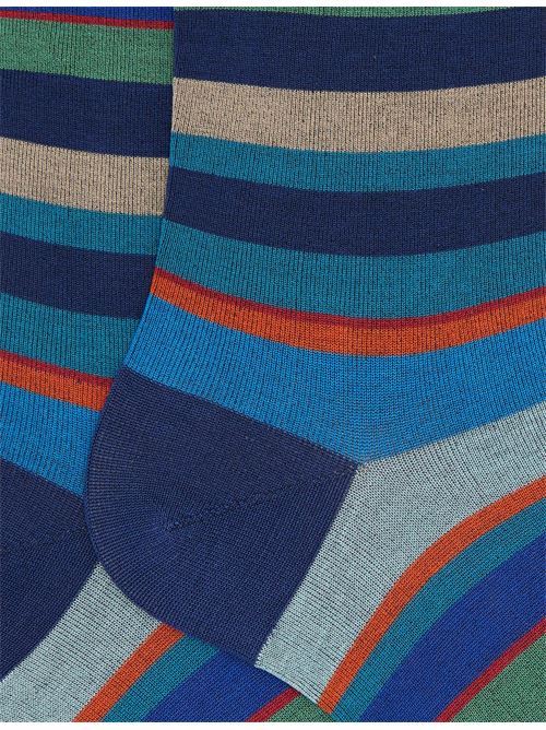 AP10317331080 FANTASIA gallo | AP10317331080 FANTASIA